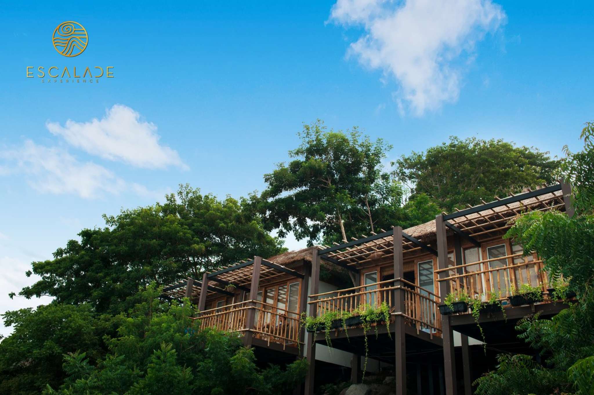 Thiết kế tại Escalade Experience 